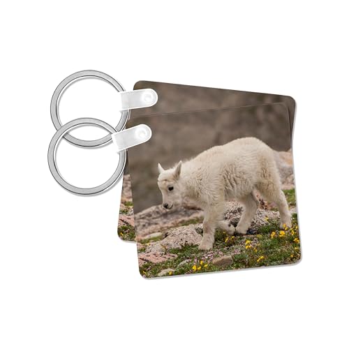 3dRose, USA, Colorado, Mt. Evans. Close-up of mountain goat kid., set of 2 Key Chains