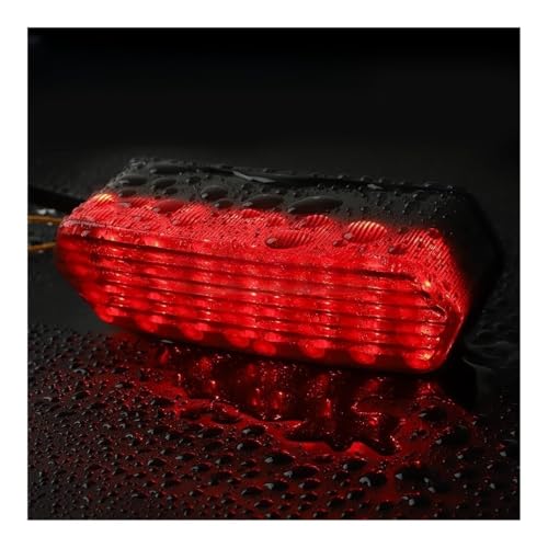 Feu stop clignotant LED 12V haute visibilité pour CBR 650F - 6