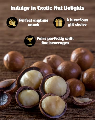Image of True Elements Macadamia Nuts Roasted And Salted 120g - Crunchy and Roasted Nuts | Healthy Snack | High in Fibre and Protein | Premium Dry Fruits