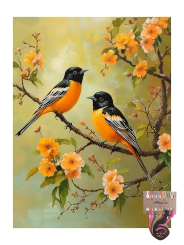 Colorful Bird Baltimore Oriole 11CT Pre-Printed Cross Stitch Kits for Adults & Beginners, Pattern Needlepoint Kit Crafts for Home Decor Gifts 12x16 Inch 11122