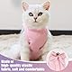 CZAYEFNH Katzenbody nach Op, 2 Stücke Postoperative Katzenkleidung für Bauchwunden, Erholungsanzug Kleidung nach Der Operation Tragen, E-Halsband Alternative für Katzen Hunde, M