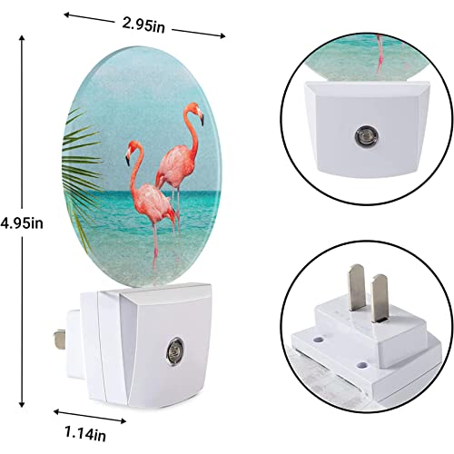 Image of EKOBLA Tropical Flamingo Palm Leaf Night Light, Summer Beach Night Lights Plug Into Wall with Dusk to Dawn Sensor for Men Women Boys Girls Gifts