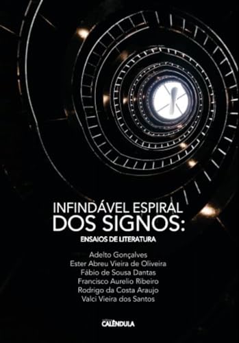 Infindável espiral de signos: ensaios de literatura
