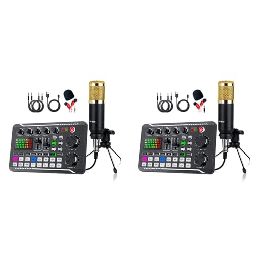 Pack de carte son portable F998 effet reverb et microphone BM800