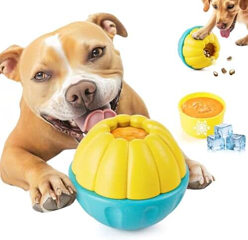 OurPets IQ Treat Puzzle