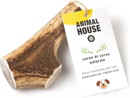 Animal House - Corna di Cervo per Cani Intere - Masticativo Naturale al 100% - Rafforza Igiene Orale - Resistenti e Duraturi - Disponibili in Tutte Le Taglie - Cruelty Free (L)