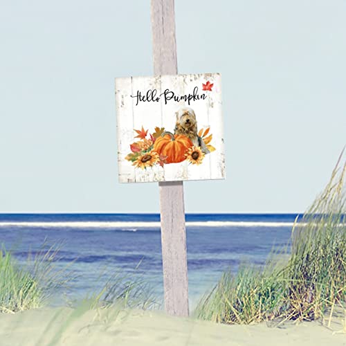 Plaque en bois Hello Pumpkin Basset Dog idée cadeau originale déco