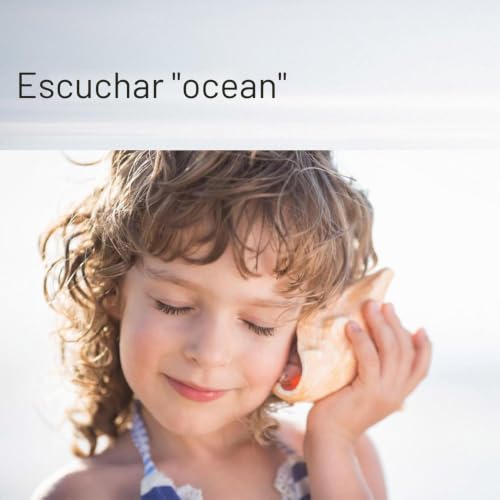 Miniatura 5 de Conchas De Mar Grandes 20 Piezas Para Decorar Conchas De Playa Mixtas Con Estrella De Mar Para Fiestas En La Playa, Dispersión De Mesa, Decoración Del Hogar, Baño, Decoraciones De Peceras