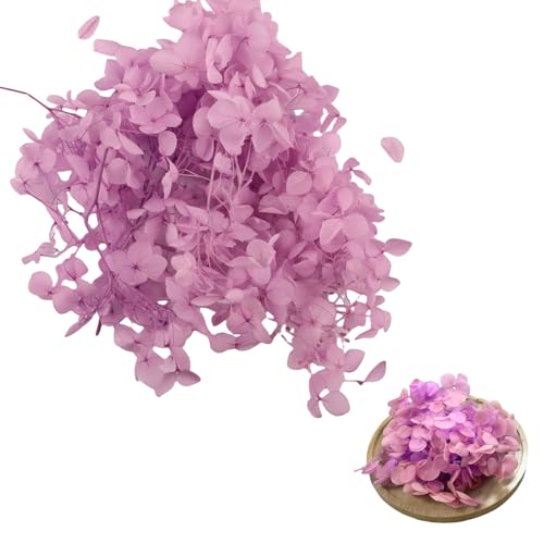 Gkhlg 1 Stück Trockenblume Hortensie Natürliche Deko für Kuchen Cupcake Dekorieren Bastelprojekte Trockenblumen für Dekoration für Bäcker Party Planer DIY Enthusiasten (Flieder)