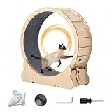 GarveeHome 43.3' Large Cat Exercise Wheel & Treadmill for Indoor Cats, Secure Locking Mechanism, Detachable Carpet Pad, Quiet Running Wheel for Walking & Training, Suitable for Most Cat Breeds