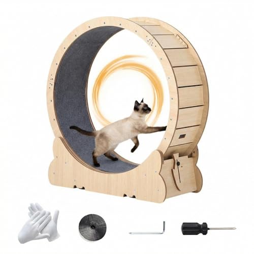 GarveeHome 43.3" Large Cat Exercise Wheel & Treadmill for Indoor Cats, Secure Locking Mechanism, Detachable Carpet Pad, Quiet Running Wheel for Walkin