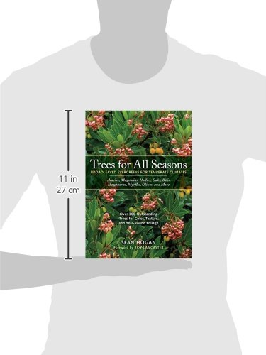 Trees for All Seasons: Broadleaved Evergreens for Temperate Climates - Image 2