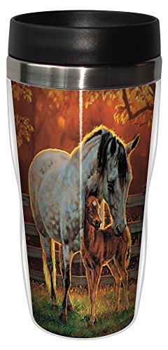 Tree-Free Greetings 77136 Quiet Time Collectible Art Sip 'N Go Travel Tumbler, 16-Ounce, Stainless Steel, Multicolored