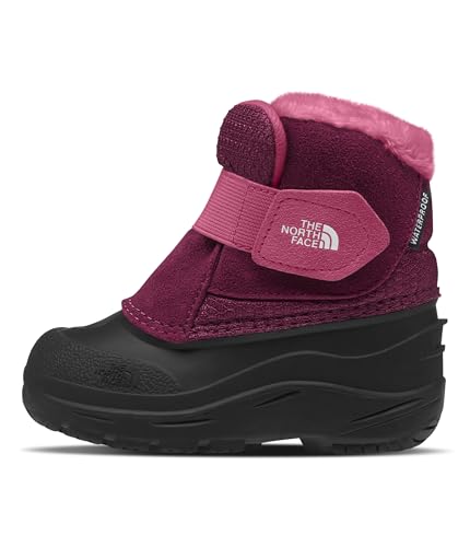 The North Face Toddler Alpenglow II Insulated Snow Boot | Waterproof Construction & Durable Rubber Outsole, Boysenberry/TNF Black, 7