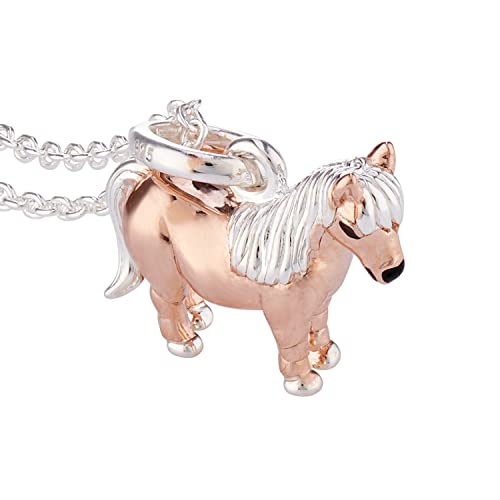 Pendentif poney Shetland argent sterling collier motif équestre cheval