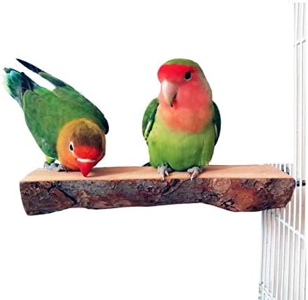 ANTOLE AM ANNA Bird Parrot Perch Natural Wood For Bird Cage Wooden Hanging Perch Toy for Small Parakeets Cockatiels, Conures, Macaws, Parrots, Love Birds, Finches