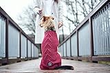 HUNTER Hundepullover MALMÖ, Farbe: bordeaux, klassisches Zopfstrick-Muster, wärmend & bequem, elastisch für optimalen Sitz, reflektierend für mehr Sichtbarkeit, waschbar bei 30°C, Größe: 25