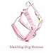 PETDURO Personalized Handmade Dog Collars Stripe Velvet Custom with Name Engraved Gold Metal Buckle for Boy & Girl Dogs - Matching Leash Bow Tie Harness Poop Bag Holder Available (S, Pink)