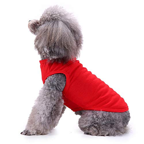 Shirts For Dog, Chol&Vivi Blank Dog Clothes T Shirt Vest Soft And Thin, 2Pcs Blank Shirts Clothes Fit For Extra Small Medium Large Extra Large Size Dog Puppy, Large Size, Red And Orange #TOP3
