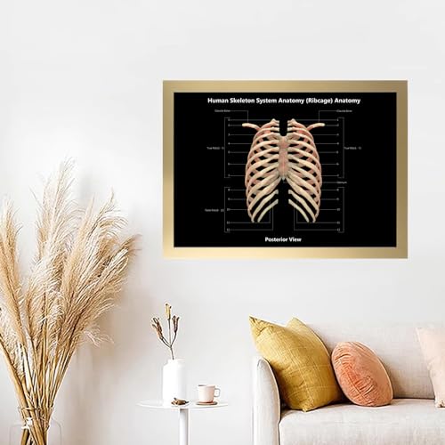 Image of Taanfu Body Educational Learning Anatomy Posters ，Skeleton System Art Intestinal Skeleton Anatomy Art Poster Digestive System Organs Illustration Small Intestine Physiology Anatomy Wall Art Villi