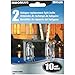 Moonrays 95517 10-Watt Halogen Bi-pin Replacements, 2 Pack