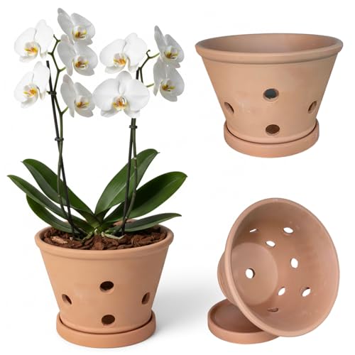 Pots d'orchidées en argile avec trous pour rempotage intérieur - 3