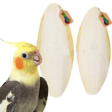 DreamAuro Natural Calcium Source Cuttlebone Fish For Birds, Parrot (100Grm) - All Life Stages (B08C7M2PQT) Amazon Price History, Amazon Price Tracker