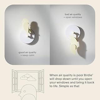 Birdie 2.0 - Design CO2-Monitor für den Innenbereich, Luftqualitätsmessgerät für Zuhause und Büro, fördert geistige und körperliche Gesundheit, Moderne Inneneinrichtung (Dune)