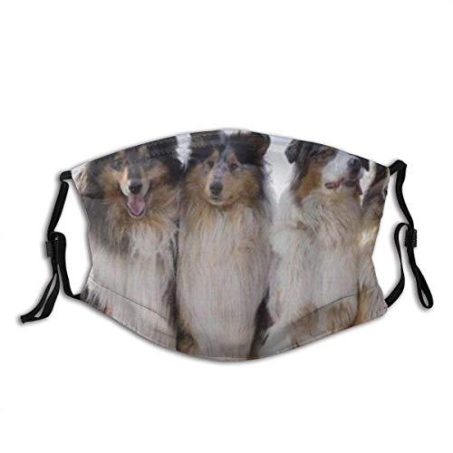 Preisvergleich Produktbild Wiederverwendbar Gesichtsbedeckung,Mode Australian Shepherd Grass Herren Damen Multifunktionstuch Halstuch Kopftuch Bandanas