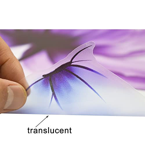 Pinenjoy Tulip Wall Decals Flower And Colorful Butterfly Wall Sticker Purple Floral Art Wall Clings 25.2X35.43Inch Removable Diy Vinyl Stickers For Living Room Bedroom Tv Sofa Background Decoration #TOP4