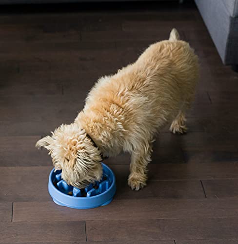 Outward Hound Fun Feeder Slo Bowl, Slow Feeder Dog Bowl, Medium/Mini, Blue #TOP7