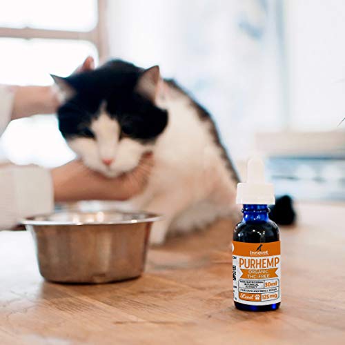 Innovet Pet Products - PurHemp+ Hemp Oil for Dogs and Cats: 100% Organic Natural Calming Drops - Anxiety Support - Hip… - Image 3