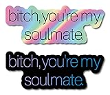 Bitch, You're My Soulmate Decal-Euphoria- 3 Pack! (Black)