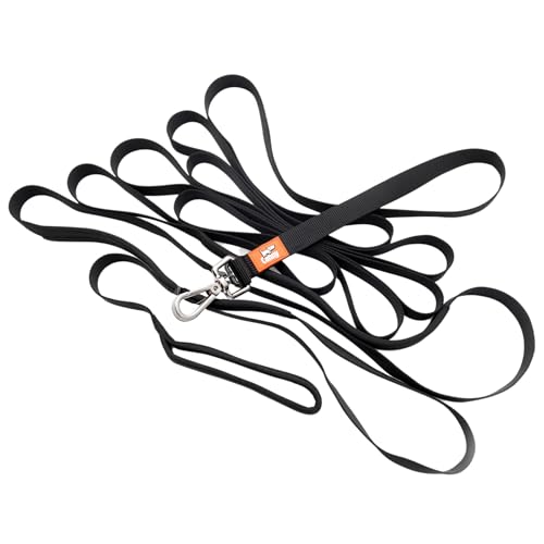 Canny Laisse pour Chien Extra Longue et Résistante 7m 5m | Education au Rappel pour Les Petits, Moyens et Grands Chiens | Poignée et Poignées Rembourrées