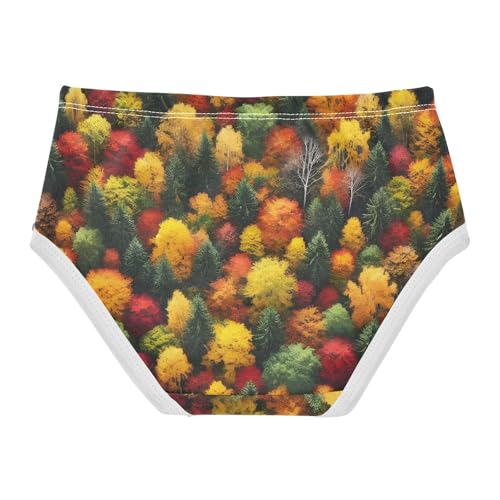 Autumn Forest Colors Girls Underwear Toddlers 2t Cotton Cute Panties Girl Funny Kids Undies Briefs2