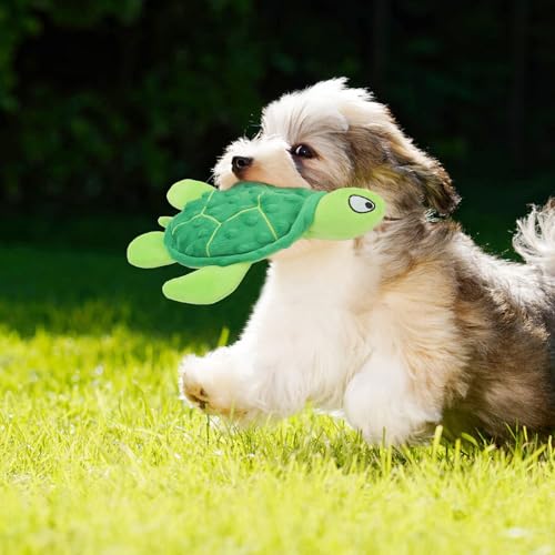 TONYFY Quietschendes Hundespielzeug, Meeresschildkröte Plüsch Hundespielzeug, Interaktives Spielzeug für Welpen zum Zahnen, Kauspielzeug für kleine Hunde (Grün)