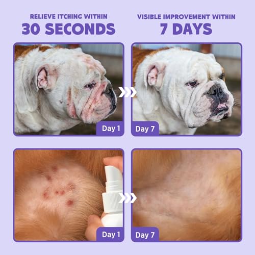 HICC PET Hot Spot Treatment & Itch Relief Spray for Dogs and Cats, Pet Treatment Spray for Itchy, Irritated Skin, Allergy, Rashes – Painless Wound Care and Lick Safe Spray for All Animals (3.4 Fl Oz) HICC PET Hot Spot Treatment & Itch Relief Spray for Dogs and Cats, Pet Treatment Spray for Itchy, Irritated Skin, Allergy, Rashes – Painless Wound Care and Lick Safe Spray for All Animals (3.4 Fl Oz)