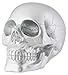 Silver Skull Head Collectible Skeleton Decoration Figure