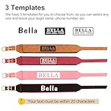 PET ARTIST Haltbares PU Leder Gepolstertes Hundehalsband für Mittlere Großen Hunde. Anpassbar mit Namen, Heavy Duty Metallschnalle, Geeignet für Pitbulls und Große Hunde, Schwarz M