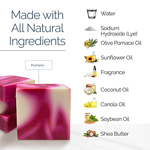 Age Of Sage Handmade Natural Bar Soap Gift Set - 100% All Organic Vegan Bath Moisturizing Handmade Artisan Scented Cold Process Fragrant Soaps With Essential Oil - 4 Pack (Plumeria) #TOP5