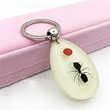 ▶ Bernstein eignet sich für jeden täglichen Anlass.