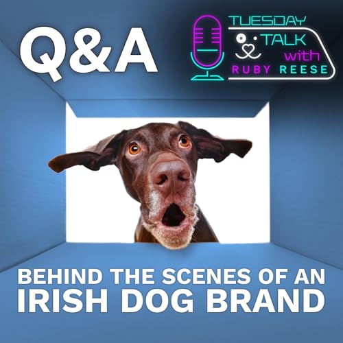 『Q&A - Behind the Scenes of An Irish Dogs Brand』のカバーアート