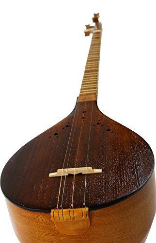 Perfect Quality Persian Setar, Sehtar, Sitar With A Free Soft Bag #TOP1