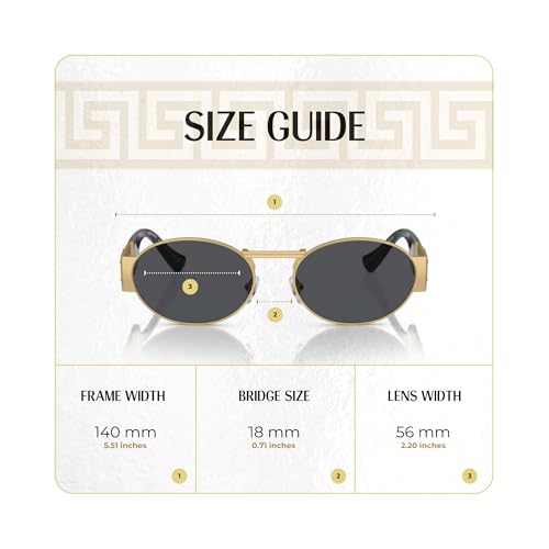 Versace VE2264 Oval Sunglasses for Men for Women +BUNDLE with ACCESSORY EYEWEAR KIT4