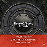 q technology group limited  Q-Tracks For Your Dj Set Tech House 11
