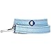 Blueberry Pet Essentials Durable Pastel Color Reflective Dog Leash, 5 ft x 5/8