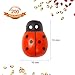 200PCS Wooden Bees Wood Ladybugs, YGDZ 100pcs Tiny Flatback Bees & 100pcs Wooden Ladybugs for Crafts Scrapbooking DIY Bee Party Decoration