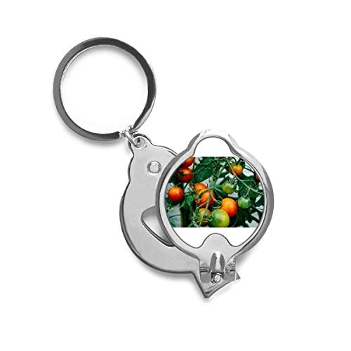 Trimmer ongle cutter arbres fruitiers DIYthinker accessoire manucure précis