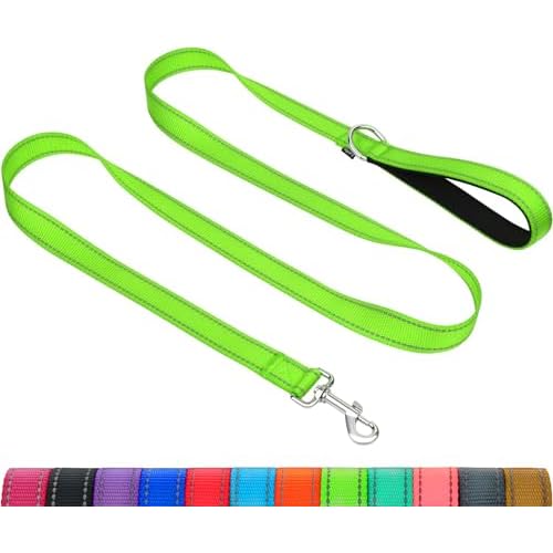 Taglory Dog Leash for Medium Large Dogs, Double-Sided Reflective for Night Walking, Neoprene Padded Handle, 1 inch by 6 ft, Heavy Duty for Medium Large Breeds 20-150 lbs, Green
