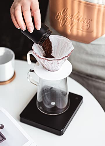 Hero Petal Glass Coffee Dripper V60 Barista Pour Over Hand Drip Brewer Pink #TOP3